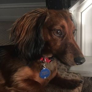 Meet your Posher, Jackie